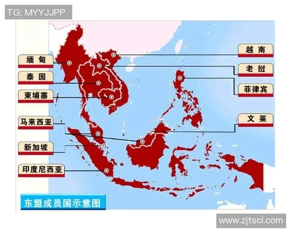 北京排球队运营体系探析与战术创新研究